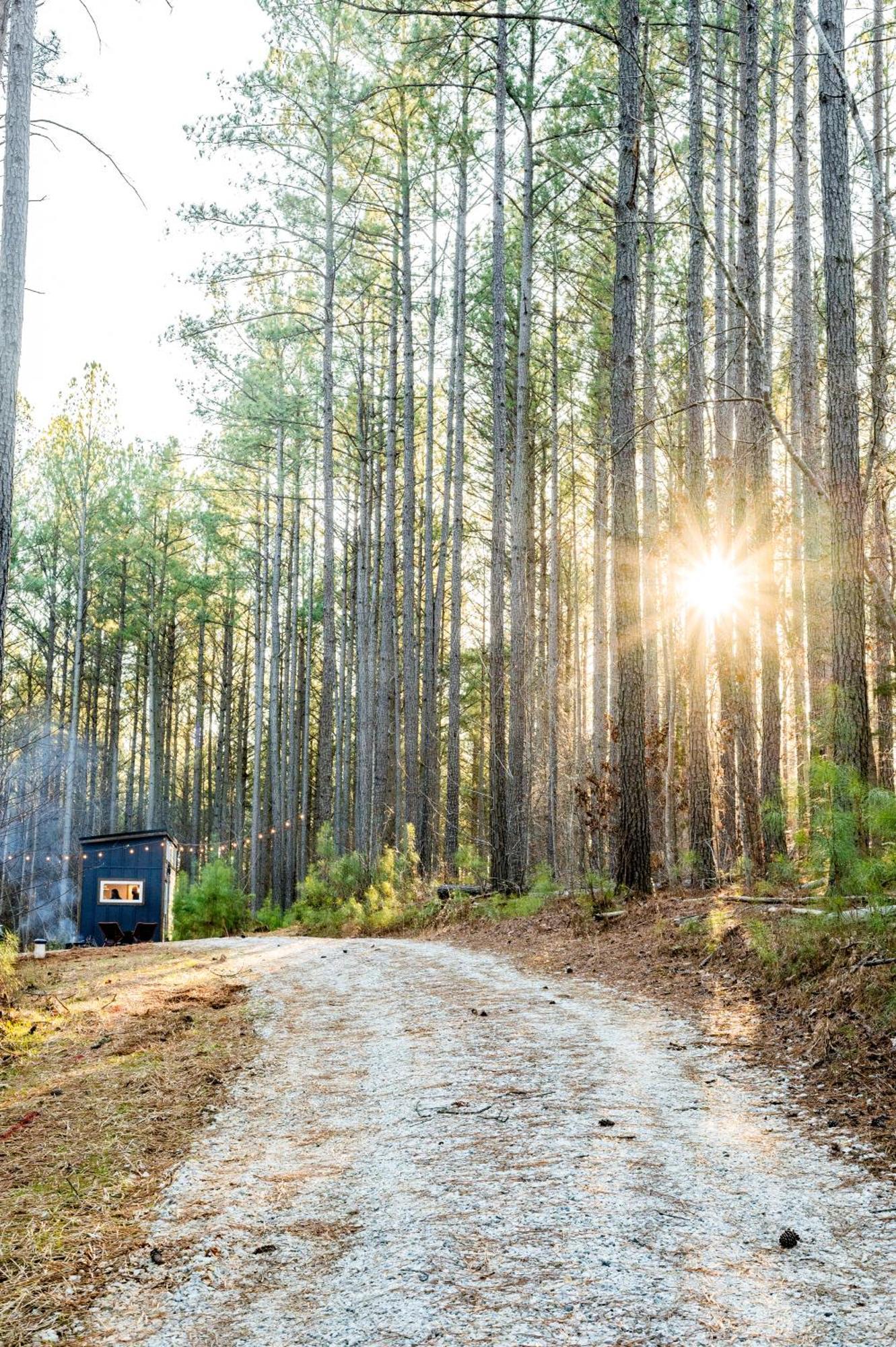 Villa Pine Creek Tiny House à Amherst Extérieur photo